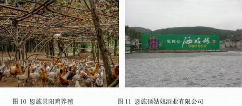 华中富硒农产品(中农富硒科技有限公司)-硒宝网