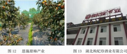 华中富硒农产品(中农富硒科技有限公司)-硒宝网