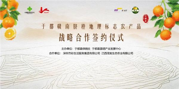 于都含硒农产品（于都富硒蔬菜基地）-硒宝网