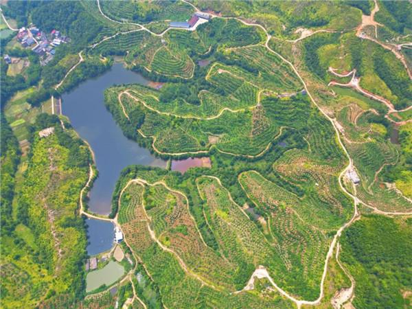 于都含硒农产品（于都富硒蔬菜基地）-硒宝网