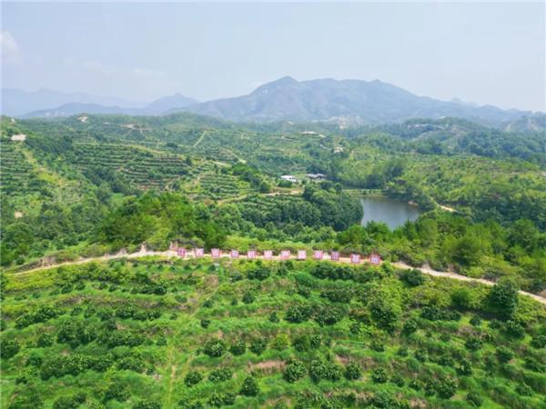 于都含硒农产品（于都富硒蔬菜基地）-硒宝网