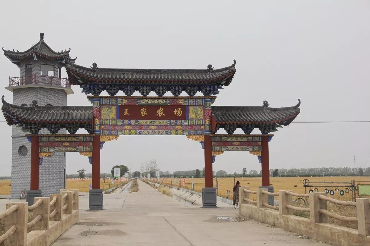 硒与安全农产品(农业用硒元素)-硒宝网