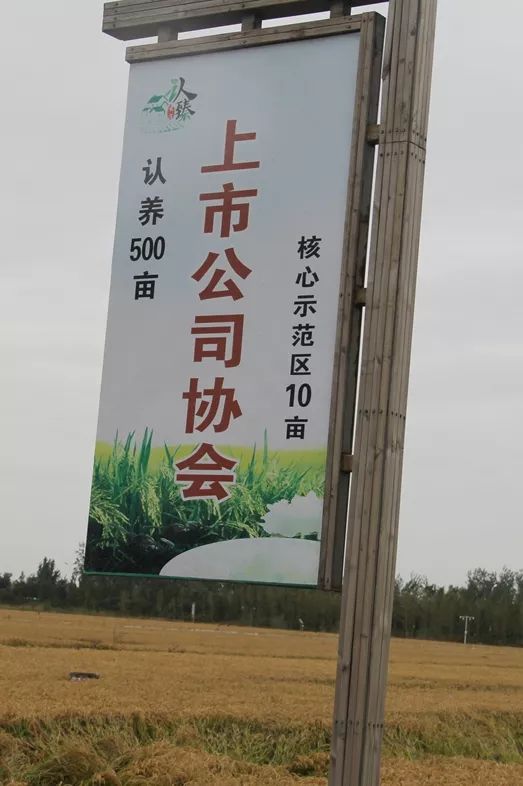 硒与安全农产品(农业用硒元素)-硒宝网