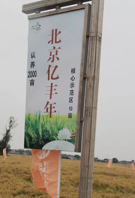 硒与安全农产品(农业用硒元素)-硒宝网