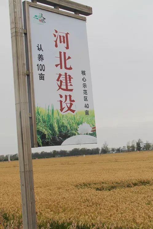 硒与安全农产品(农业用硒元素)-硒宝网