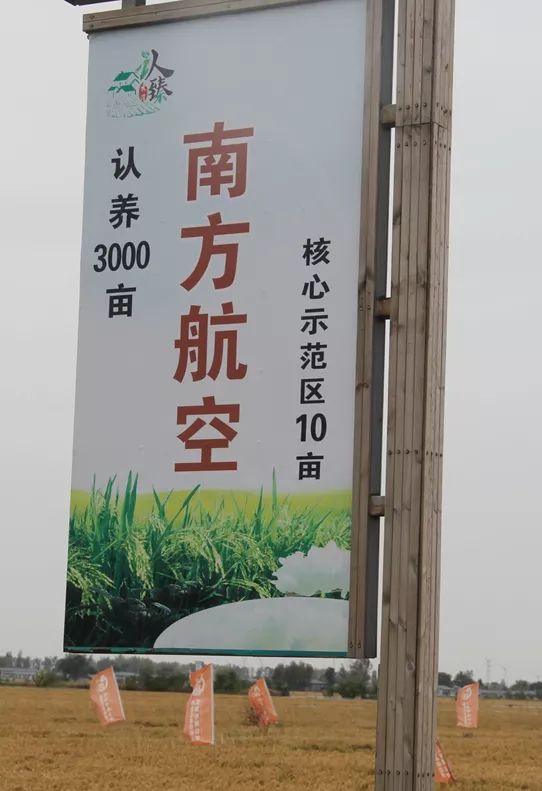 硒与安全农产品(农业用硒元素)-硒宝网