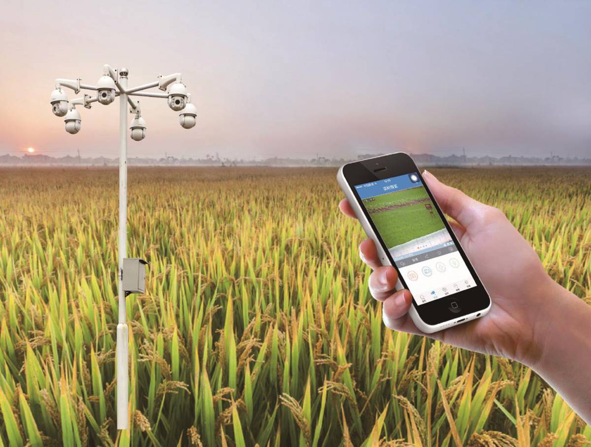 硒与安全农产品(农业用硒元素)-硒宝网