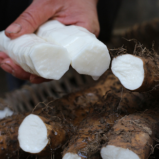 苏马荡硒农产品（避暑房是苏马荡好还是花硒谷好）-硒宝网