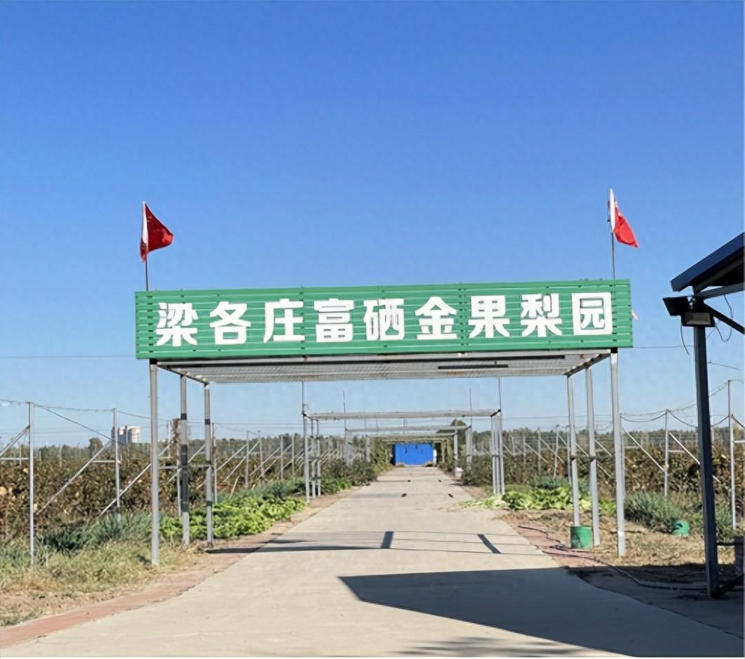 果味硒农副产品(富硒农产品含量标准)-硒宝网