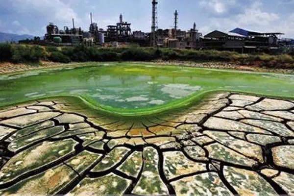 海南省含硒产品(海南硒含量最高地方)-硒宝网