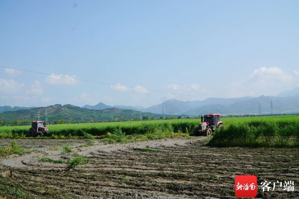 海南省含硒产品(海南硒含量最高地方)-硒宝网