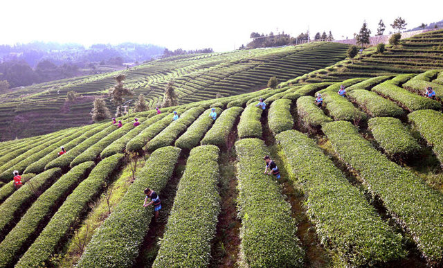 巫溪县硒农产品（巫溪特色农产品）-硒宝网