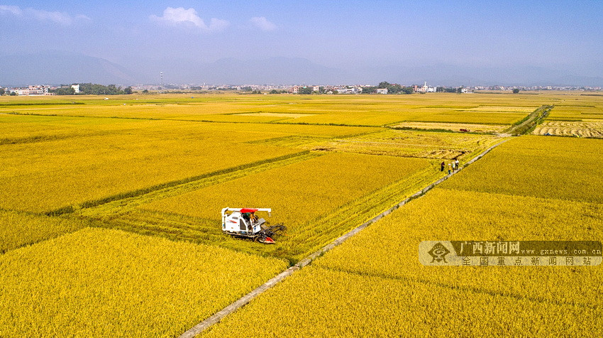 全国富硒农产品(富硒农产品产业链)-硒宝网