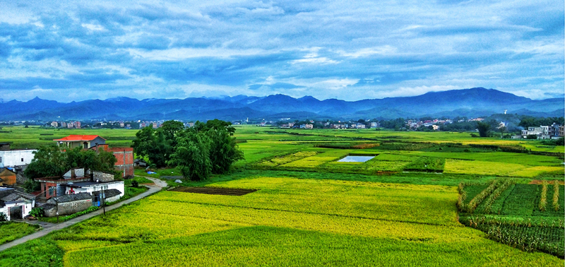 全国富硒农产品(富硒农产品产业链)-硒宝网