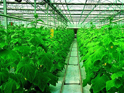 巫溪县硒农产品(硒乡文化有限公司)-硒宝网