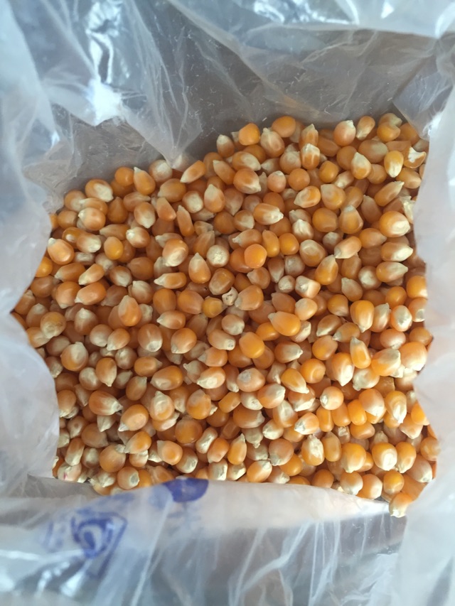 硒维康儿童能吃(硒片儿童可以吃吗)-硒宝网