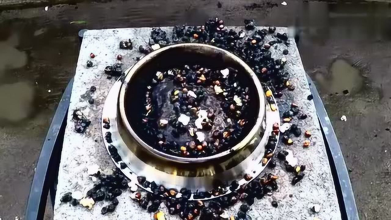 硒维康儿童能吃(硒片儿童可以吃吗)-硒宝网