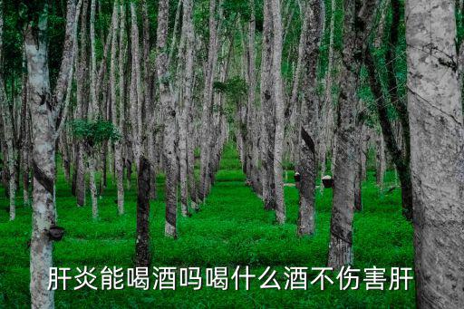 乙肝能吃硒维康（乙肝吃硒片）-硒宝网