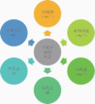 硒维康用于保?。ū＝∮糜谖德穑?硒宝网