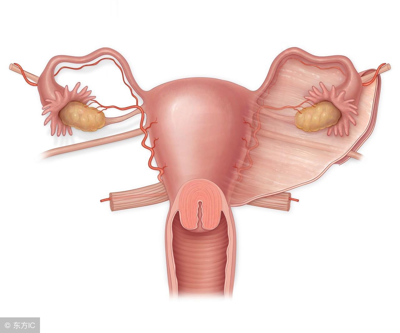 硒维康片对宫颈(硒维康可以清除hpv病毒吗)-硒宝网