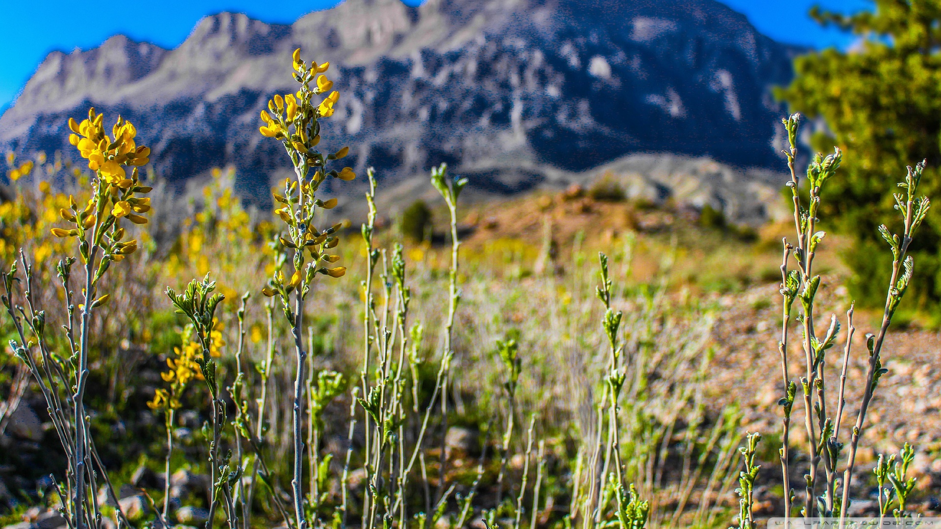 喝硒维康的症状(吃硒维康会发胖吗)-硒宝网