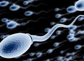 锌硒宝精子畸形(新稀宝牌锌硒宝精子)-硒宝网