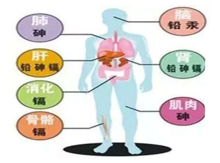 蛋白锌硒宝成人（蛋白锌硒和锌硒宝哪个好）-硒宝网