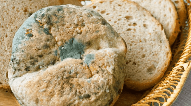 肠胃病补什么硒好(肠胃不好吃硒管用吗)-硒宝网