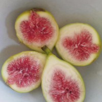 安康富硒茶书籍(安康富硒茶多少钱一斤汗水晨雾)-硒宝网