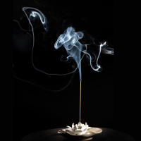 安康富硒茶书籍(安康富硒茶多少钱一斤汗水晨雾)-硒宝网