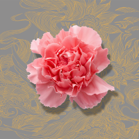 安康富硒茶书籍(安康富硒茶多少钱一斤汗水晨雾)-硒宝网