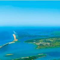 安康富硒茶书籍(安康富硒茶多少钱一斤汗水晨雾)-硒宝网