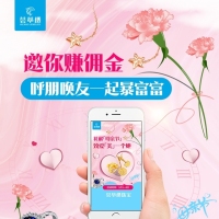 安康富硒茶书籍(安康富硒茶多少钱一斤汗水晨雾)-硒宝网