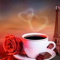 安康富硒茶书籍(安康富硒茶多少钱一斤汗水晨雾)-硒宝网