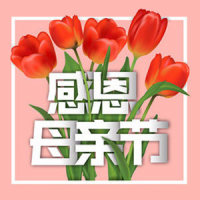 安康富硒茶书籍(安康富硒茶多少钱一斤汗水晨雾)-硒宝网