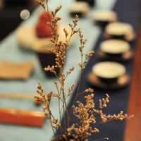 安康富硒茶书籍(安康富硒茶多少钱一斤汗水晨雾)-硒宝网