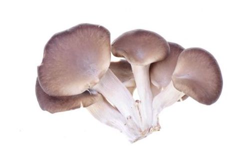 不缺锌能吃锌硒宝吗（锌硒宝片宝宝能吃吗）-硒宝网