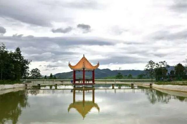 邵阳县有机富硒大米资源（富硒大米生产技术）-硒宝网