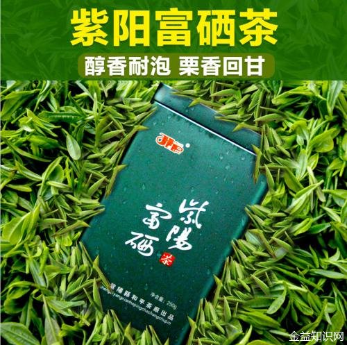 紫阳富硒茶营销方案(茶叶营销方案)-硒宝网