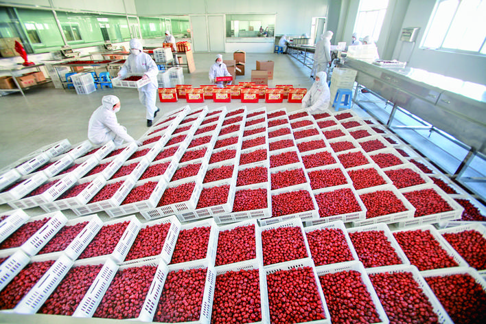 新绛的富硒蔬菜(蔬菜富硒新绛哪里有卖)-硒宝网