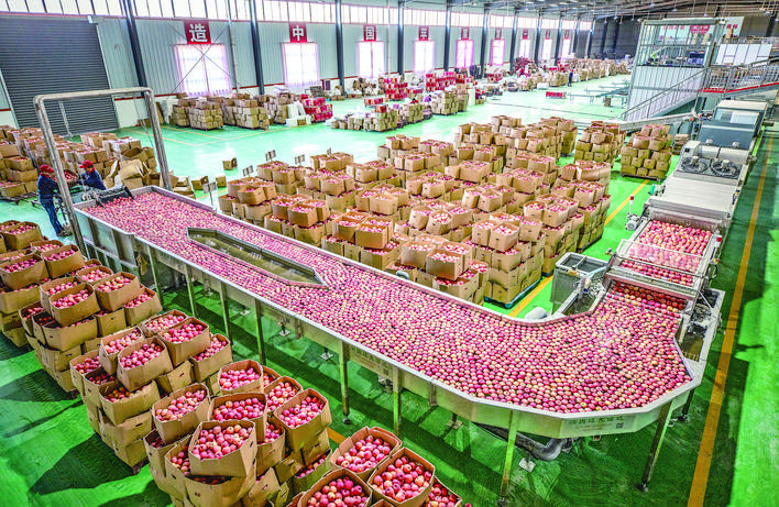 新绛的富硒蔬菜(蔬菜富硒新绛哪里有卖)-硒宝网