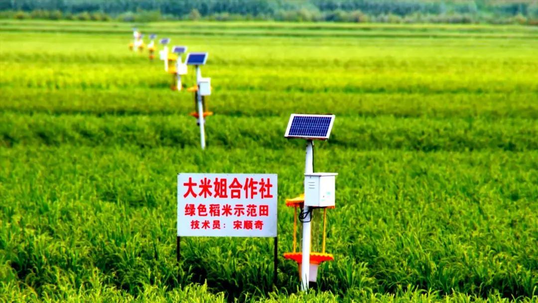 吉林富硒大米收购(富硒大米批发)-硒宝网