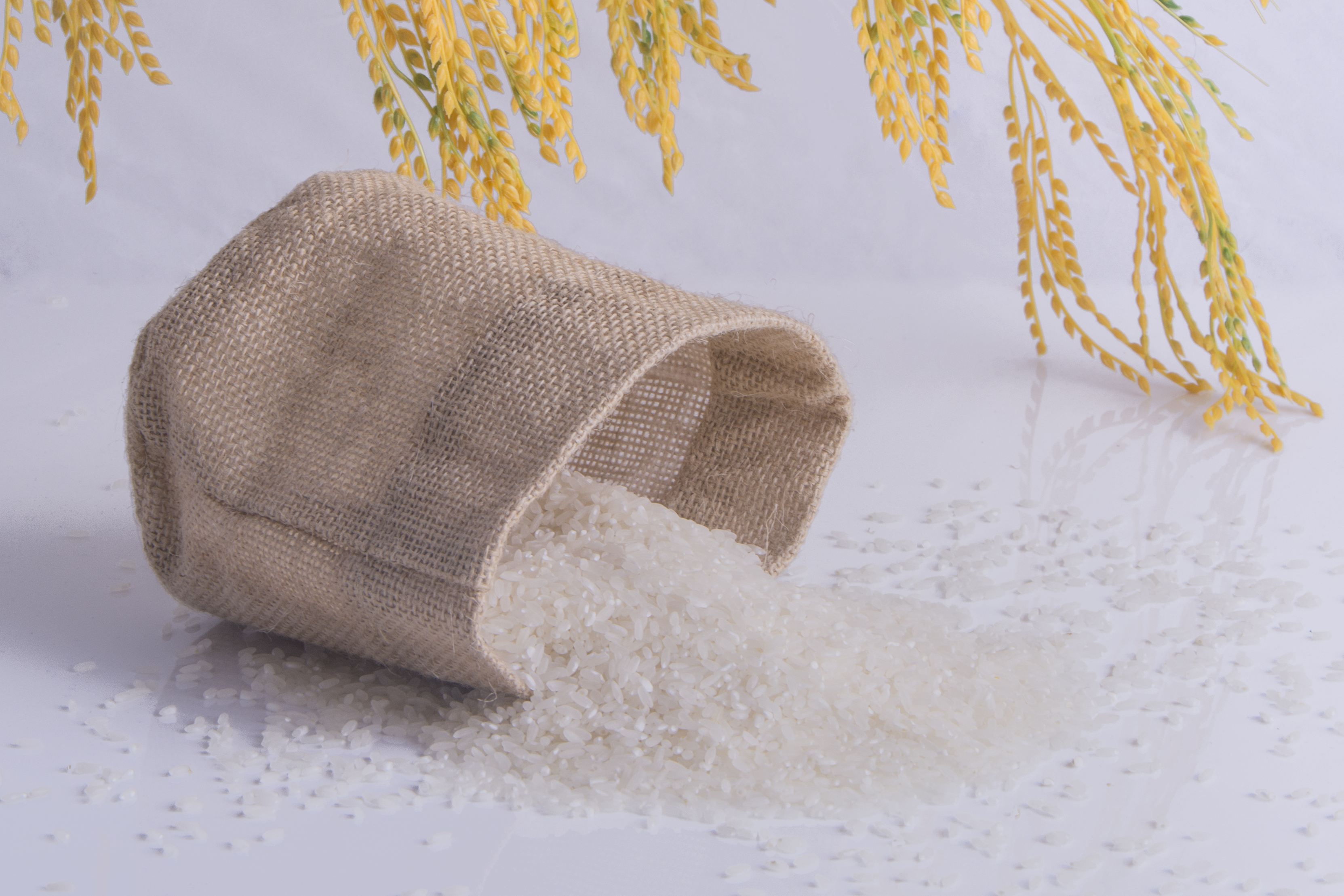 吉林富硒大米收购(吉林富硒米多少钱一斤)-硒宝网