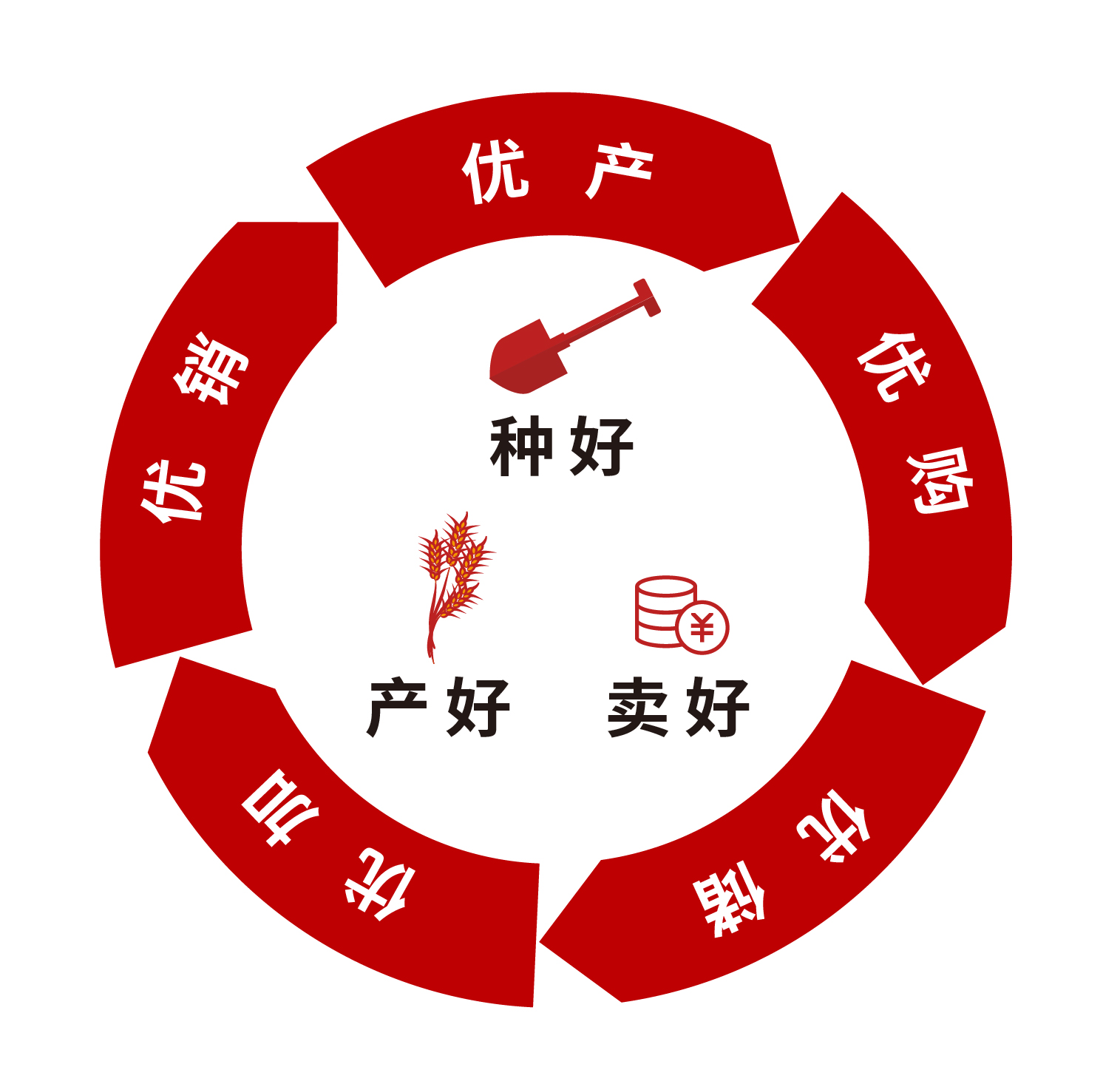 硒产品发展历程图(大疆创新产品发展历程)-硒宝网