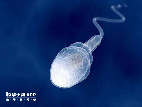 生精胶囊锌硒宝(锌硒宝生精片)-硒宝网