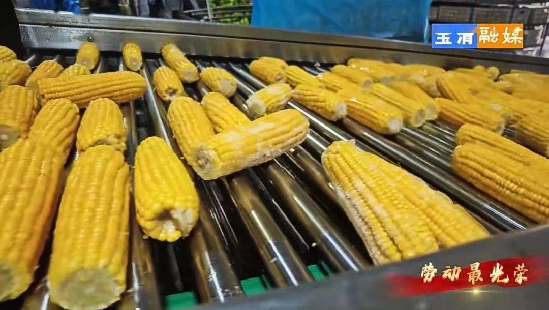 宝清富硒大米资料（据报道富硒大米有多种保健功能）-硒宝网