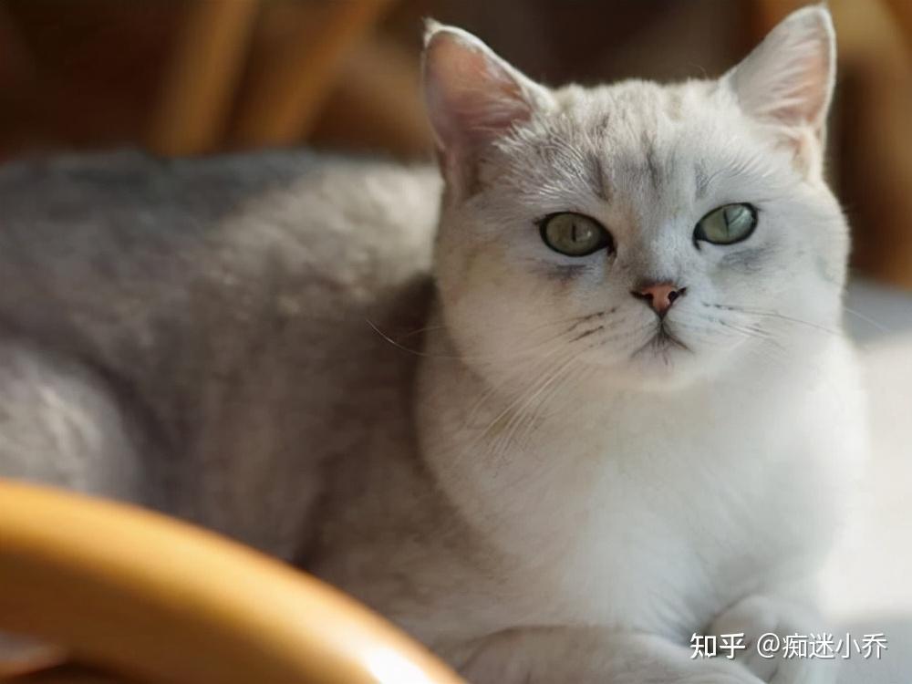 人体缺微量元素硒怎么补(缺人体微量补元素硒会怎么样)-硒宝网