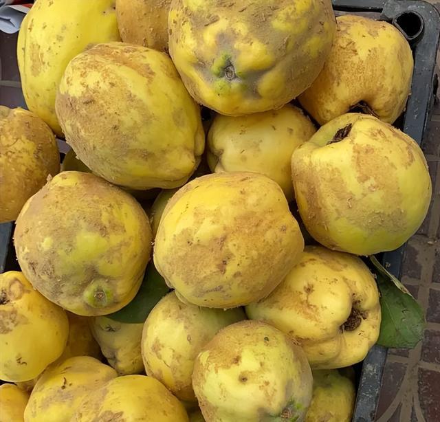 一种水果叫富硒果吗(水果果种叫富硒果吗)-硒宝网