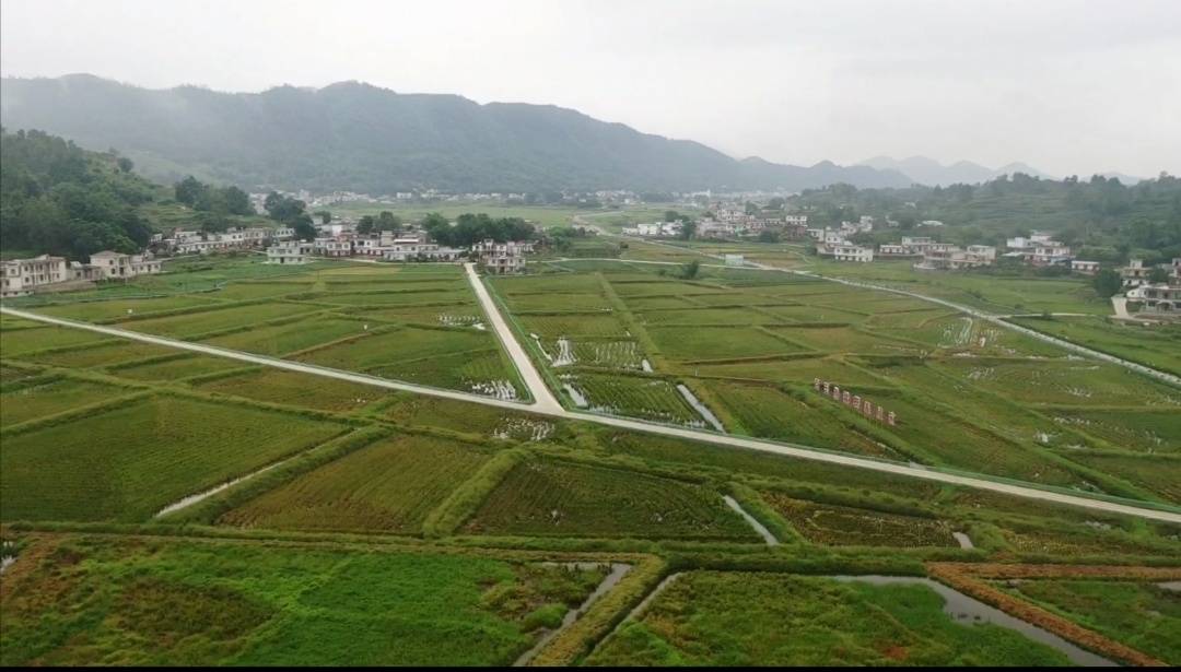 邵阳县有机富硒大米加工（富硒大米生产技术）-硒宝网