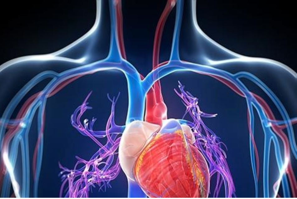 化疗的人为什么要补硒（化疗病人补硒有效果吗）-硒宝网
